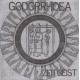 Godorrhoea ‎– Zeitgeist